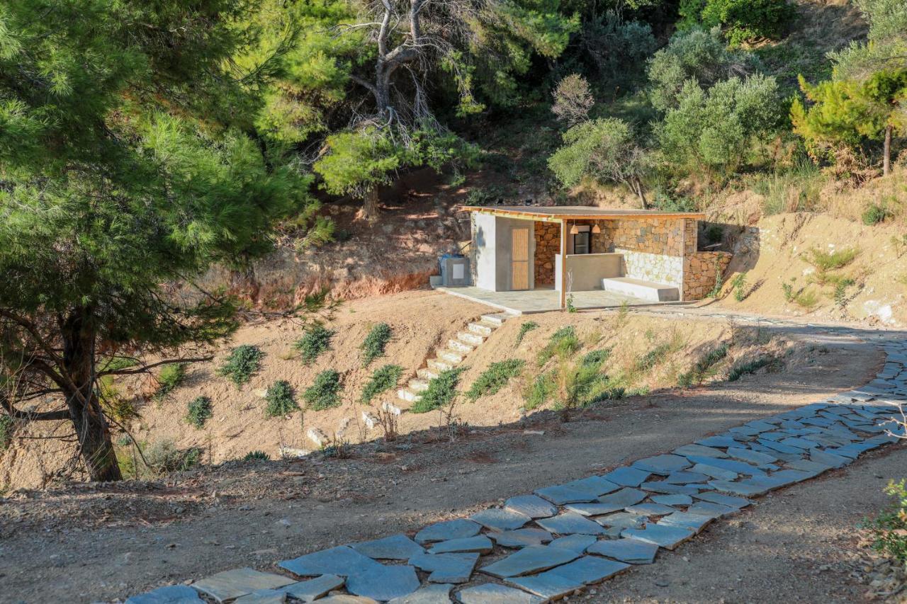 Thalasses Villas Skiathos Punta المظهر الخارجي الصورة